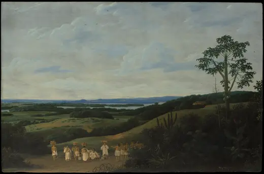 A Brazilian Landscape — Frans Post